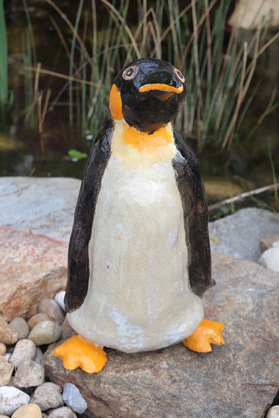 Königspinguin Thumb